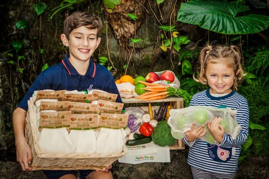 Eco Friendly Fundraising - Easy As
