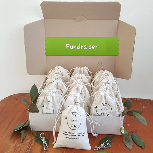 Fundraiser Box -Eco Friendly Pegs